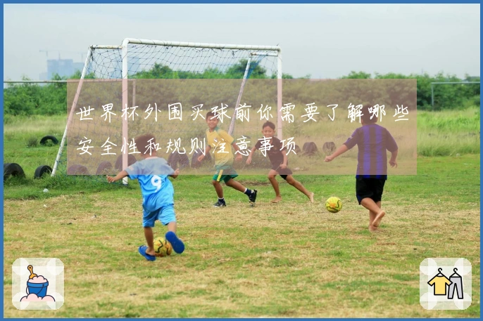 世界杯外围买球前你需要了解哪些安全性和规则注意事项