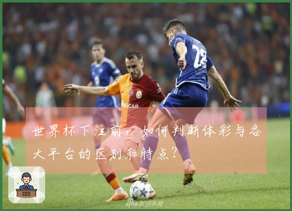 世界杯下注前，如何判断体彩与各大平台的区别和特点？