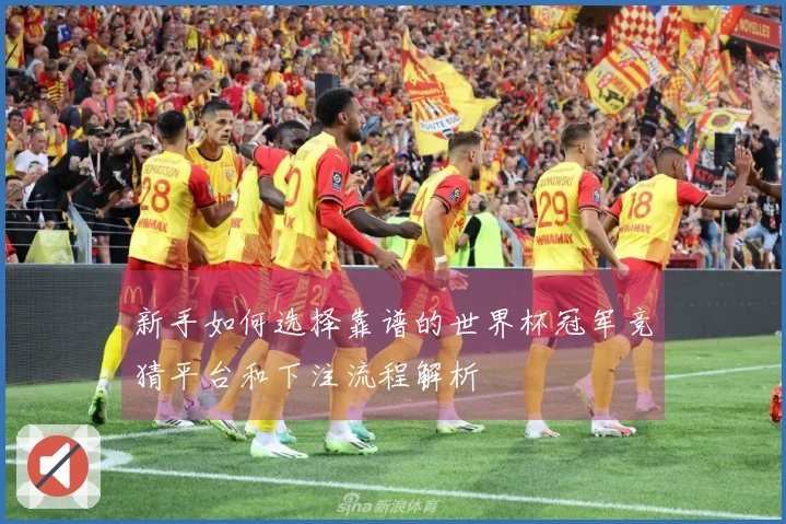 新手如何选择靠谱的世界杯冠军竞猜平台和下注流程解析