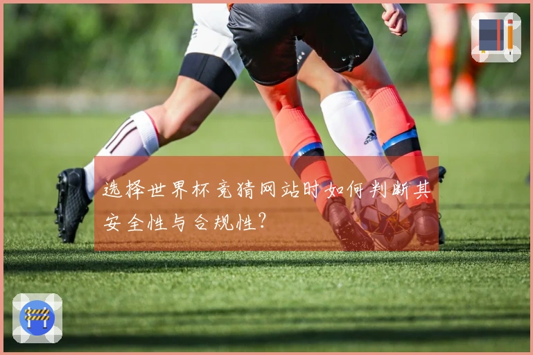 选择世界杯竞猜网站时如何判断其安全性与合规性？