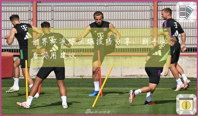 世界杯滚球买球技巧分享，新手必看实用建议