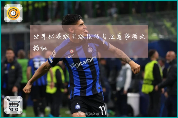 世界杯滚球买球技巧与注意事项大揭秘