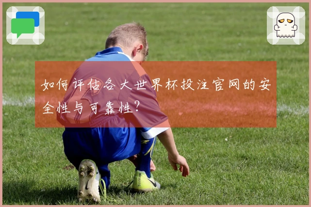 如何评估各大世界杯投注官网的安全性与可靠性？