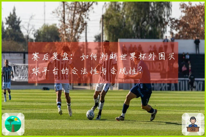 赛后复盘：如何判断世界杯外围买球平台的合法性与合规性？