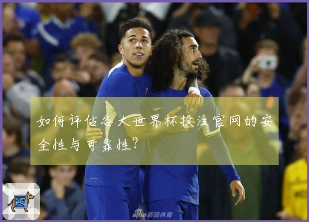 如何评估各大世界杯投注官网的安全性与可靠性？